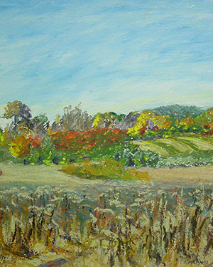 Fall Cornfield